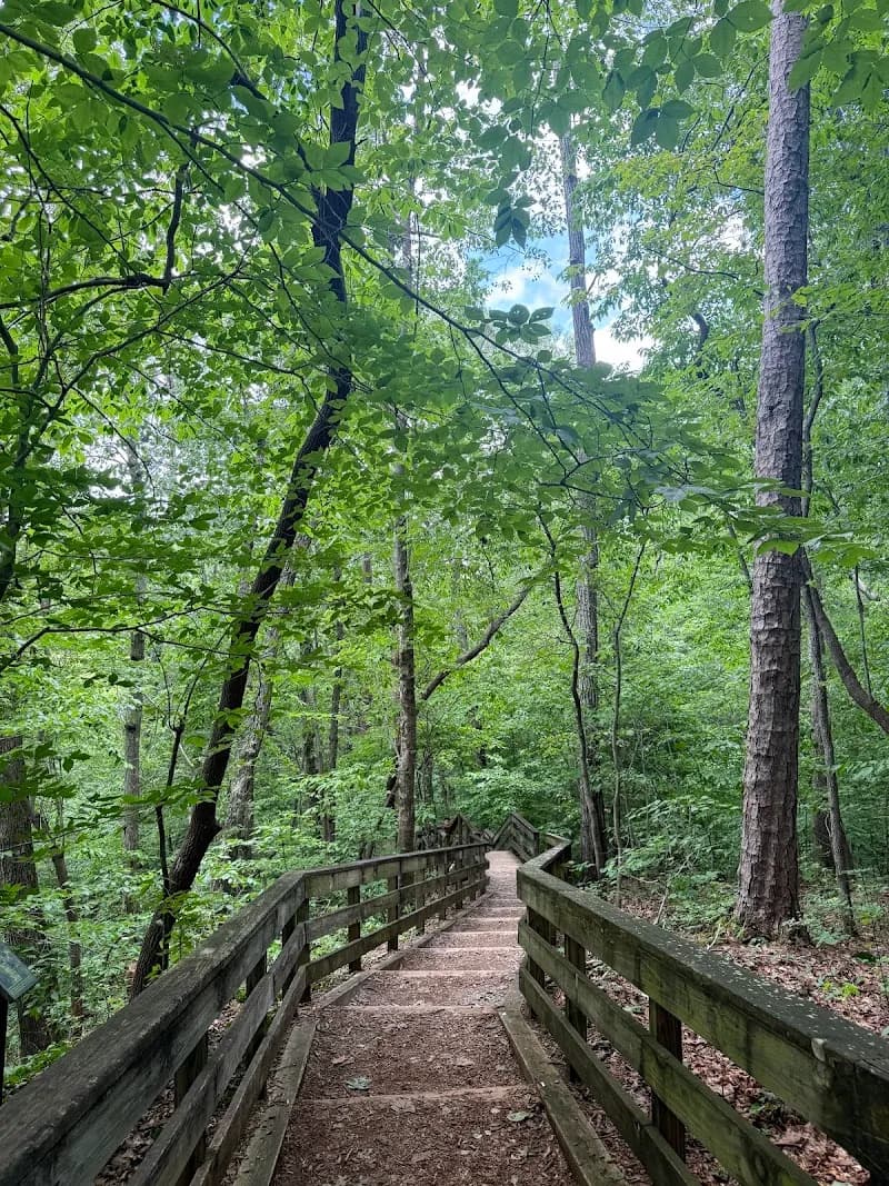View of Hemlock Bluffs Nature Preserve in Cary, NC