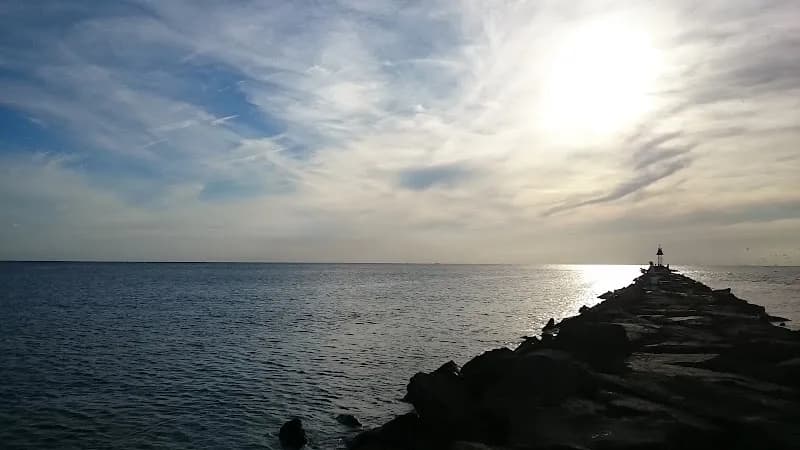 View of Higbee Beach Wildlife Management Area in Cape May, NJ
