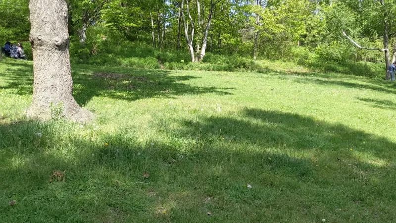 View of High Park in Toronto, ON