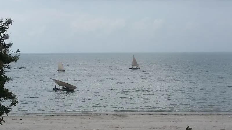 View of Historic Bagamoyo Park in Bagamoyo, DSM
