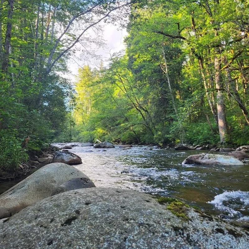 View of Hockaday Park in Clayton, NC
