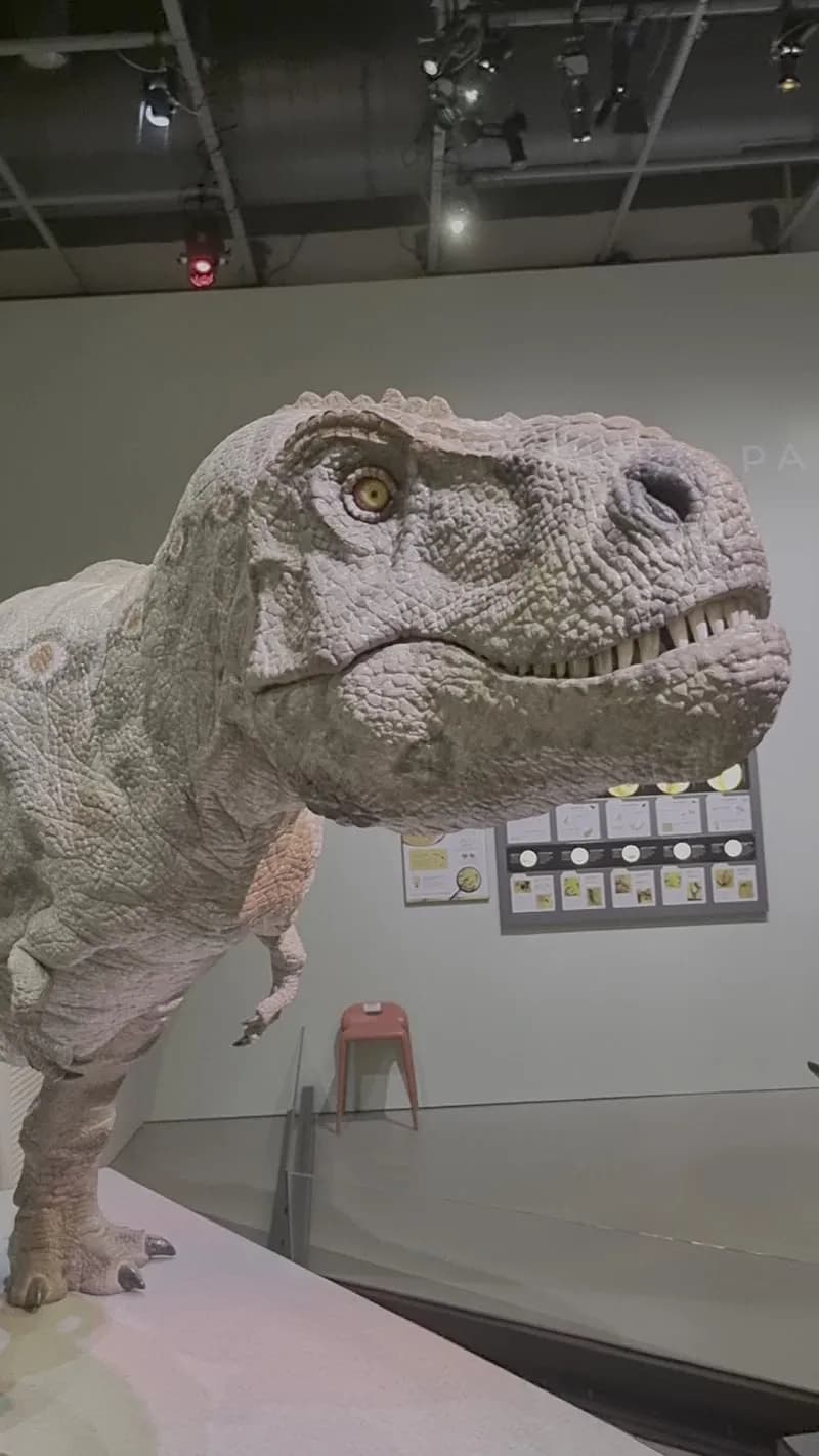 View of Hong Kong Dinosaurs Museum in Tseung Kwan O, HK