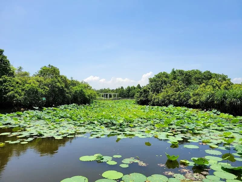 View of Hong Kong Wetland Park in Hong Kong, HK