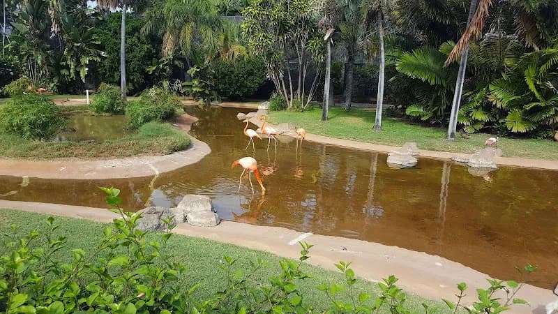 View of Honolulu Zoo in Honolulu, HI
