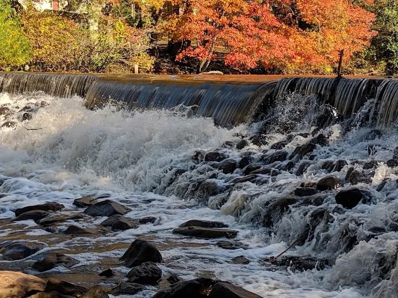 View of Hopkins Pond in Haddonfield, NJ
