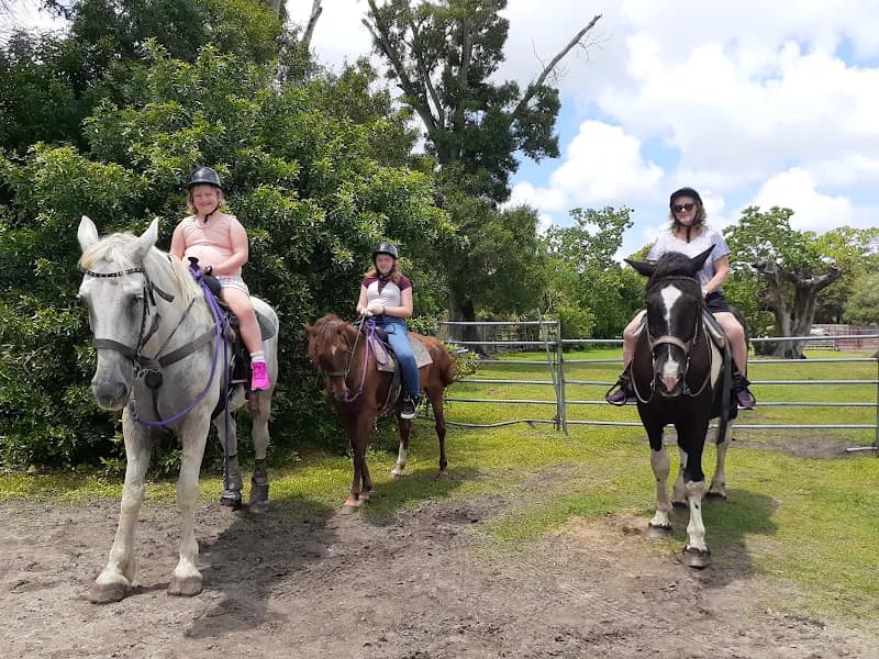 View of Horseback Riding Tours and Adventures Cypress Breeze Farm in Palm Harbor, FL