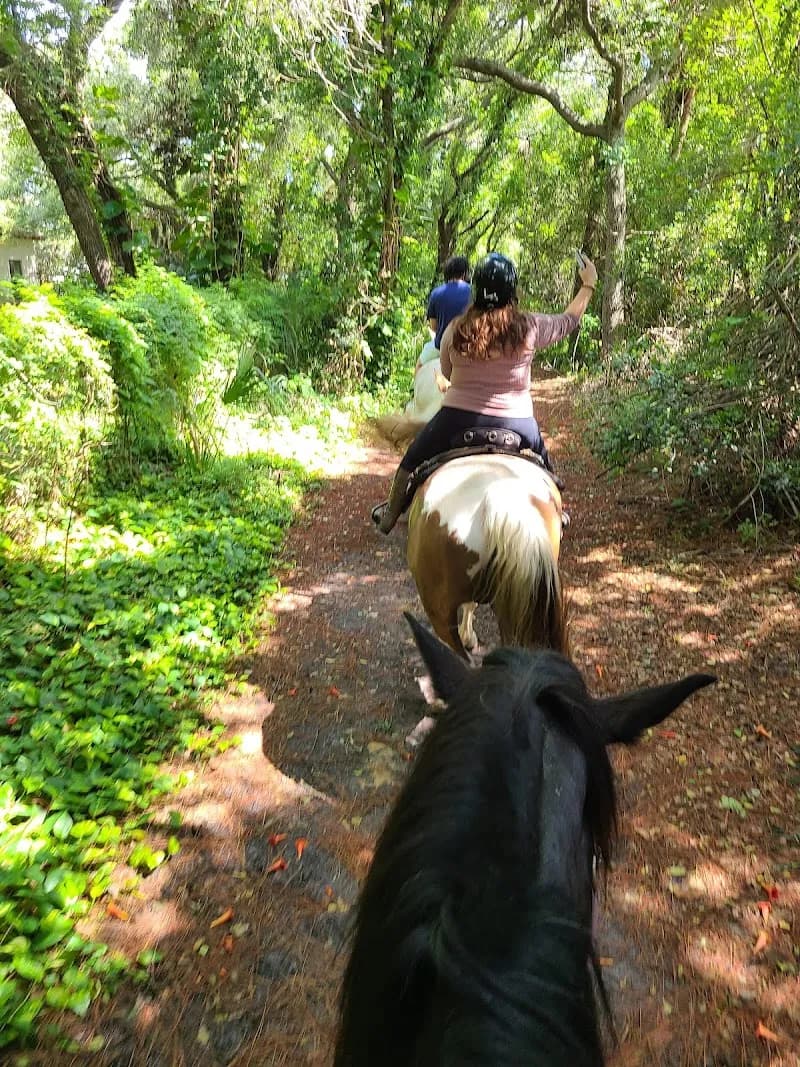 View of Horseback Riding Tours and Adventures Cypress Breeze Farm in Palm Harbor, FL