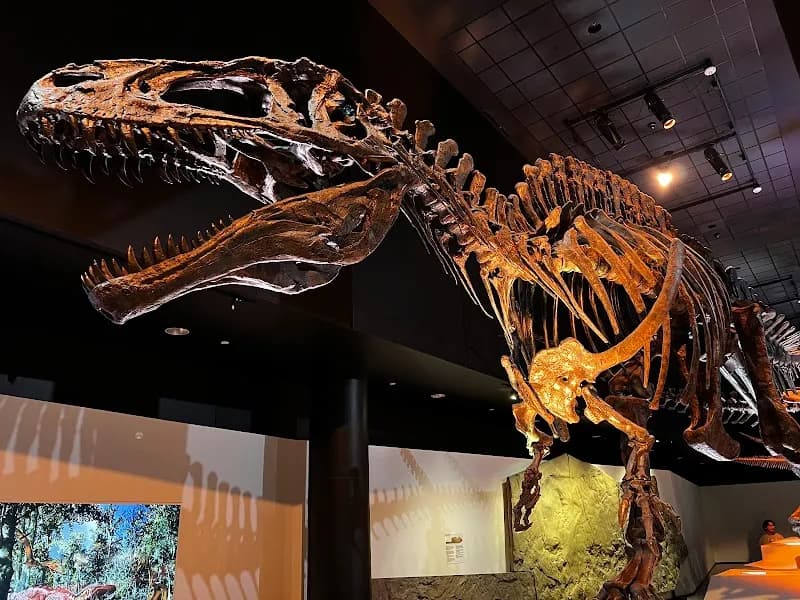 View of Houston Museum of Natural Science in Houston, TX