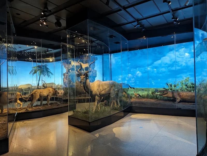 View of Houston Museum of Natural Science in Houston, TX