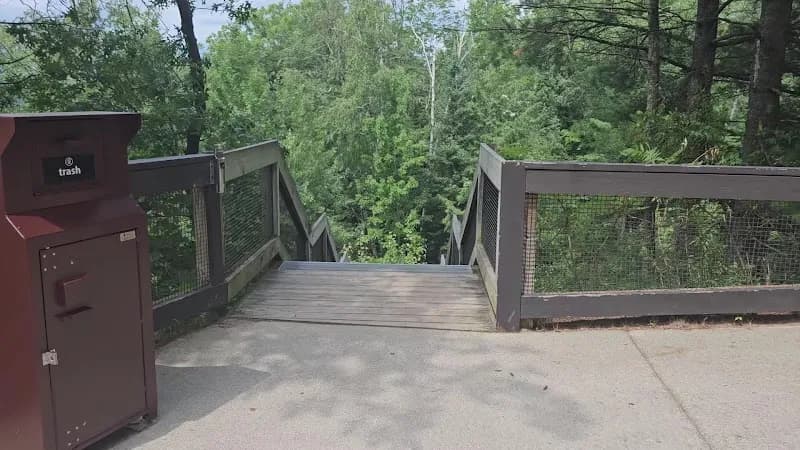 View of Huron-Manistee National Forests in Cadillac, MI