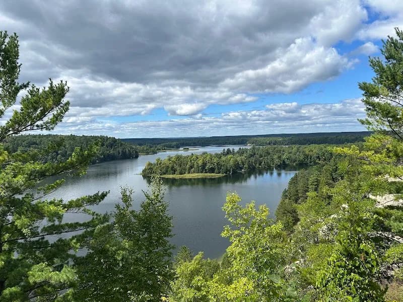 View of Huron-Manistee National Forests in Cadillac, MI