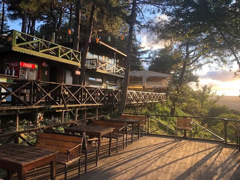 Şile Pine Forest Park park in Şile, Istanbul