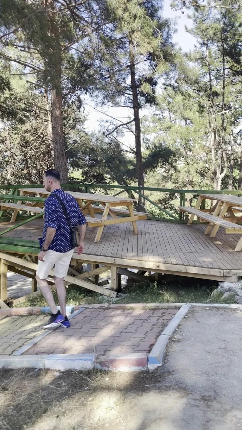 View of Şile Pine Forest Park in Şile, Istanbul
