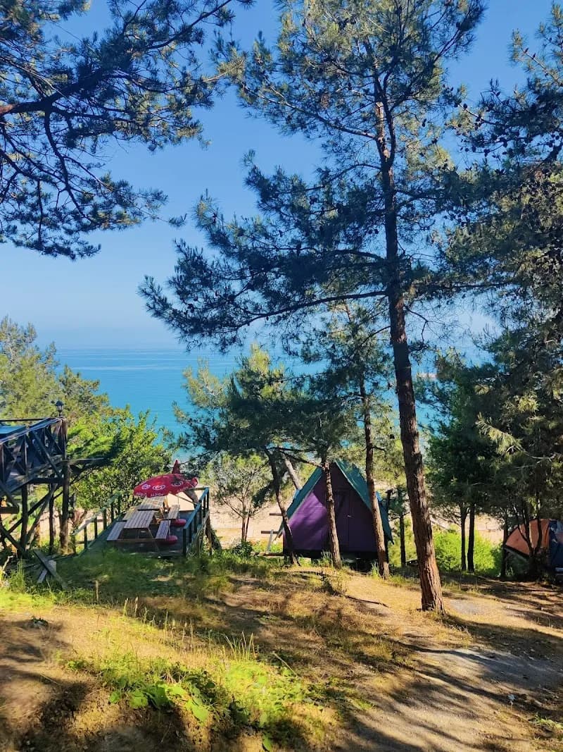 View of Şile Pine Forest Park in Şile, Istanbul