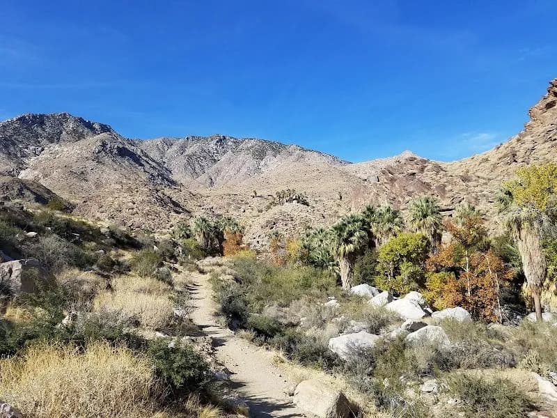 View of Indian Canyons in Palm Springs, CA