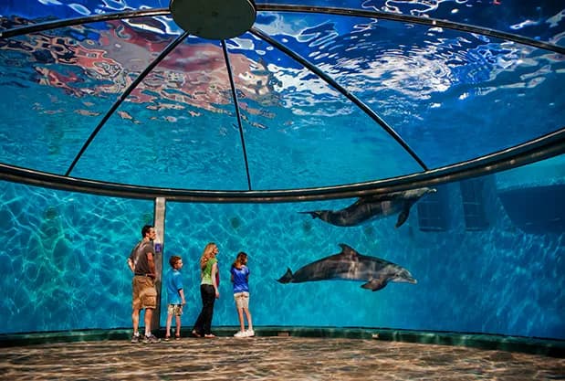 Indianapolis Zoo zoo in Indianapolis, IN