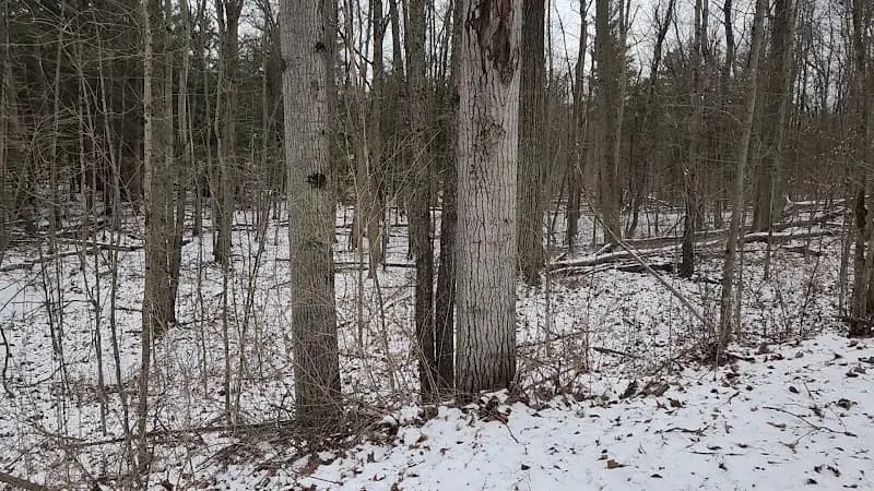 View of Indianfields Township Park in Eastport, MI