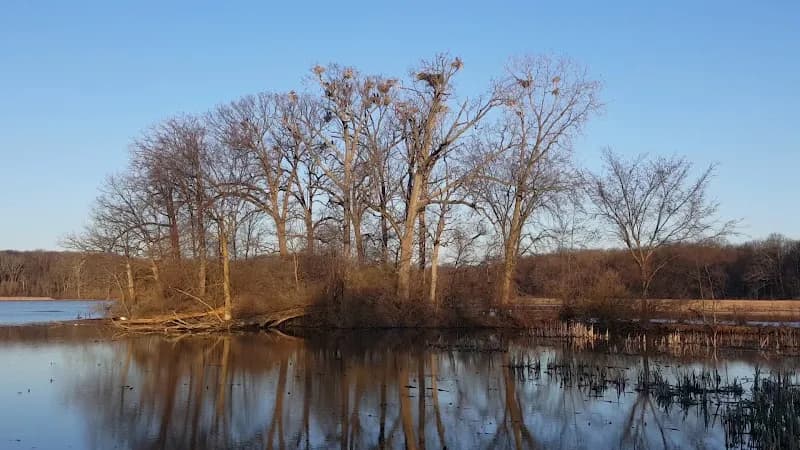 View of Island Lake Recreation Area in Brighton, MI