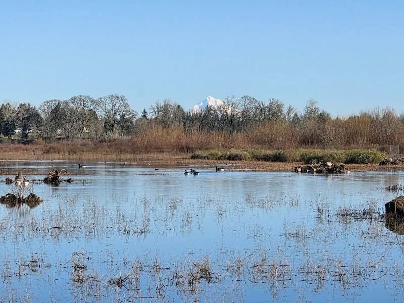 Jackson Bottom Wetlands nature preserve in Hillsboro, OR