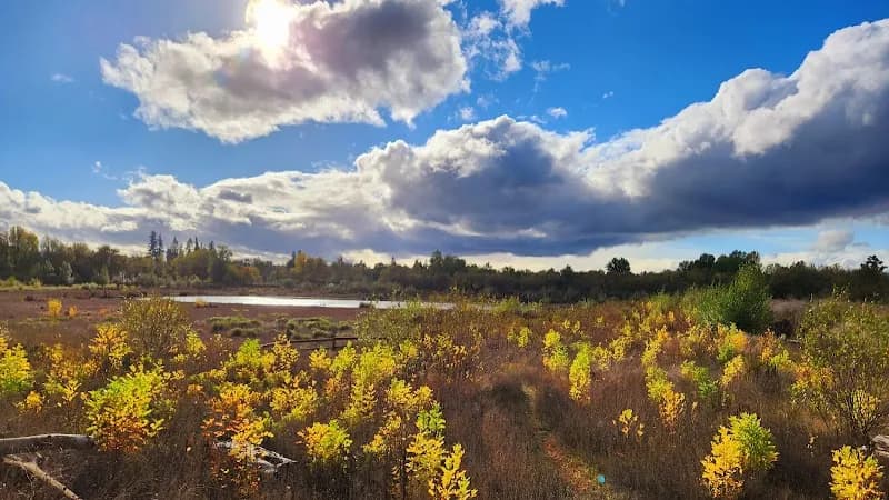 View of Jackson Bottom Wetlands in Hillsboro, OR