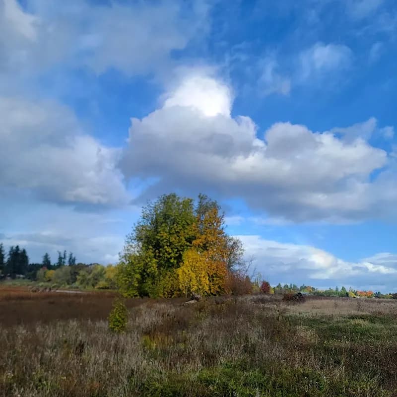 View of Jackson Bottom Wetlands in Hillsboro, OR
