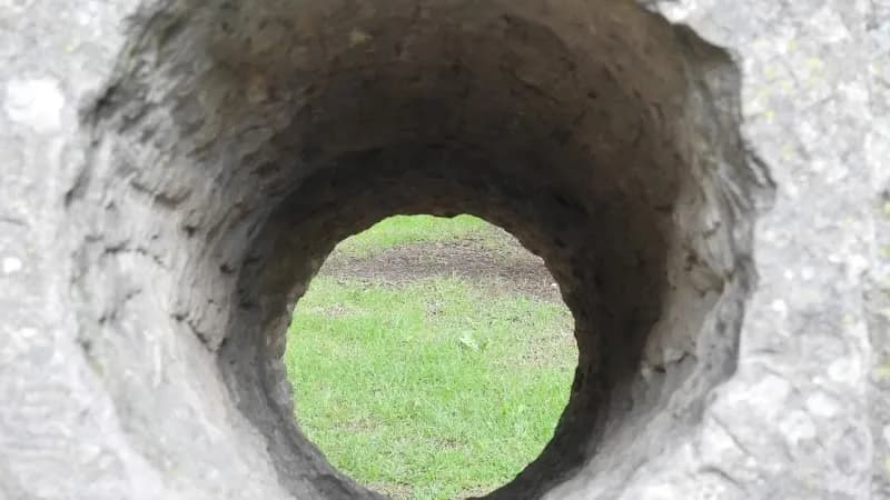 View of Jardín Botánico de Bogotá José Celestino Mutis in Bogota, BOG