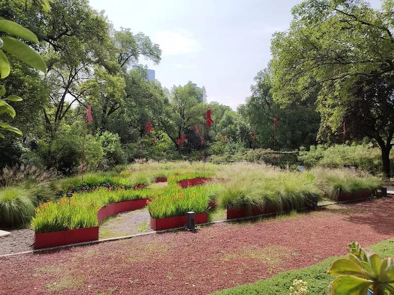 View of Jardín Botánico del Bosque de Chapultepec in Mexico City, CDMX
