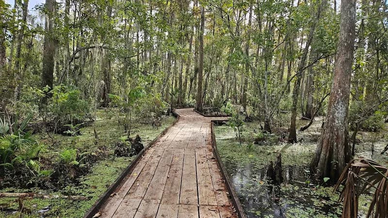 View of Jean Lafitte National Historical Park and Preserve in New Orleans, LA