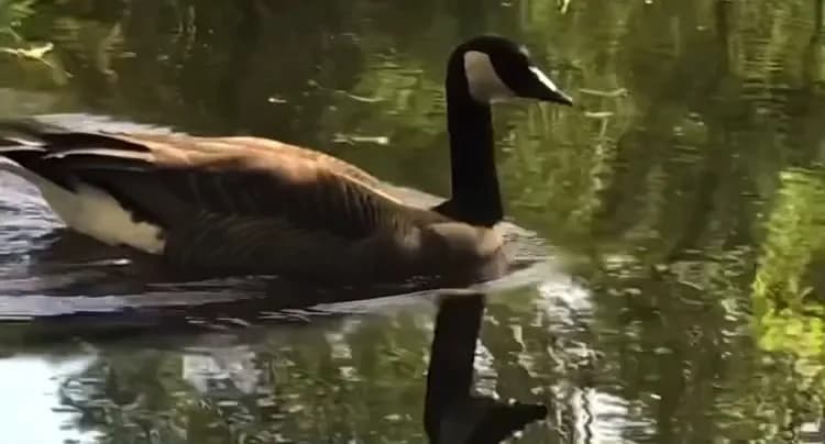 View of Jericho Beach Park in Vancouver, BC