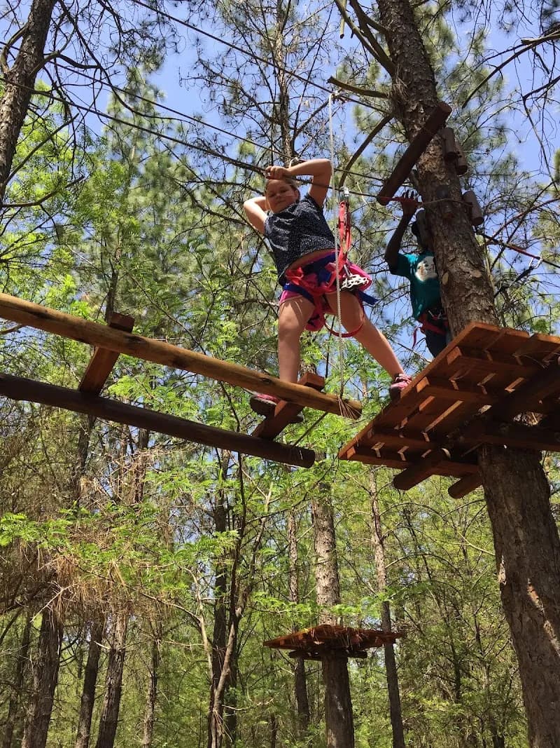 View of Jozi Tree in Fourways, GP