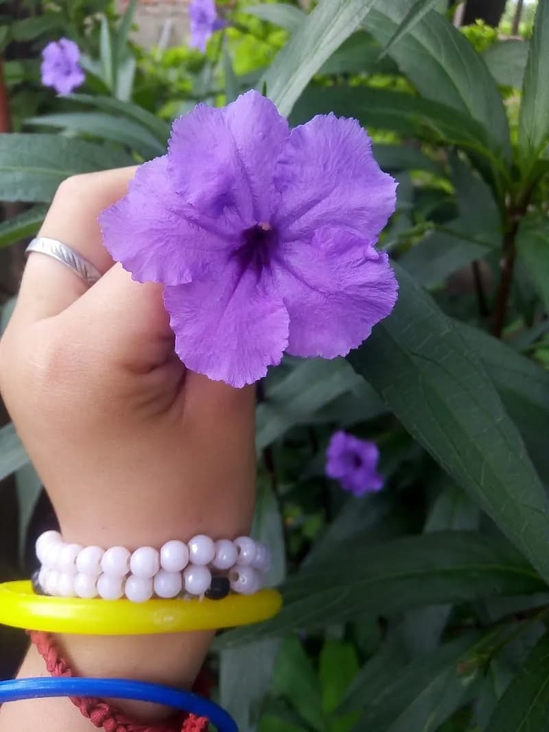 View of Juegos Para Niños in Naucalpan, Edomex