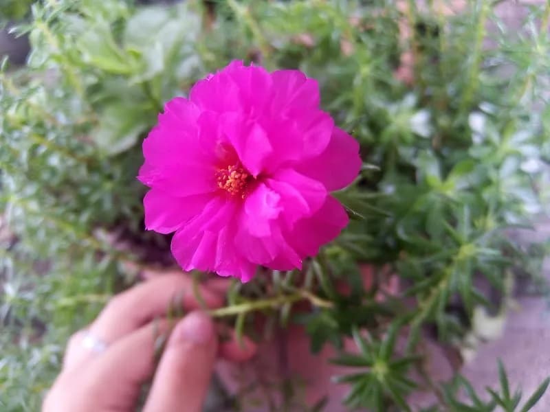 View of Juegos Para Niños in Naucalpan, Edomex