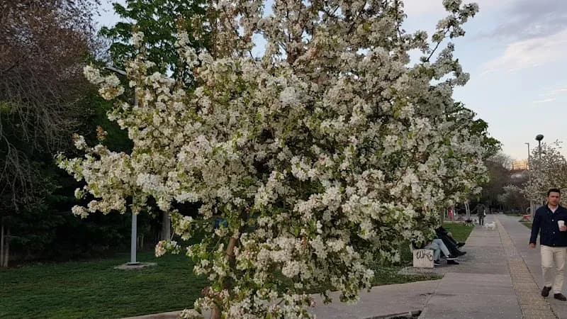View of Kadıköy Moda Sahil Parkı ve Yürüyüş Yolu in Kadıköy, Istanbul