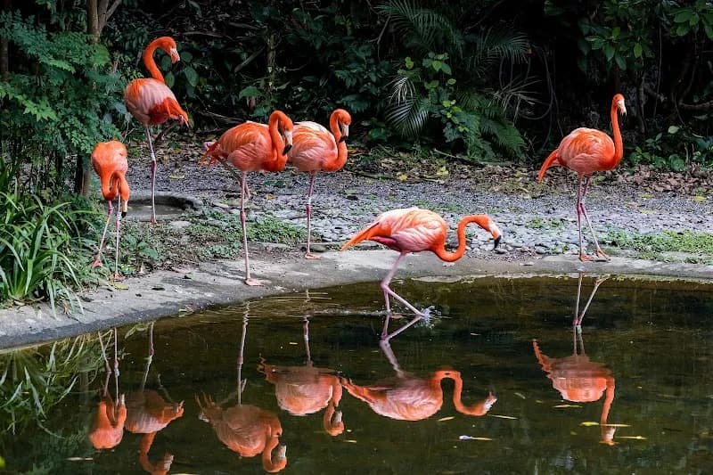 View of Kadoorie Farm and Botanic Garden in Hong Kong, HK