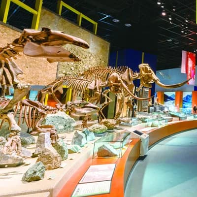 Kanagawa Prefectural Museum of Natural History tourist attraction in Odawara, Kanagawa