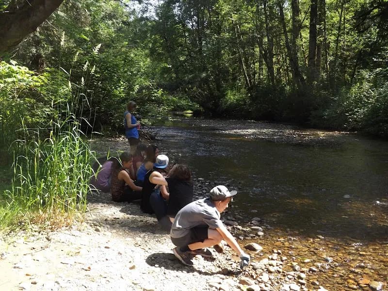 Kanaka Creek Regional Park nature preserve in Maple Ridge, BC
