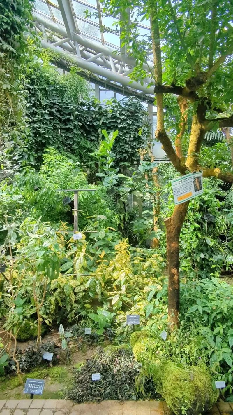 View of Kasagi Botanical Garden (笹木植物園) in Kasagi, KYO