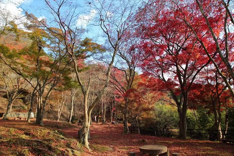 Kasagiyama Natural Park park in Kasagi, KYO