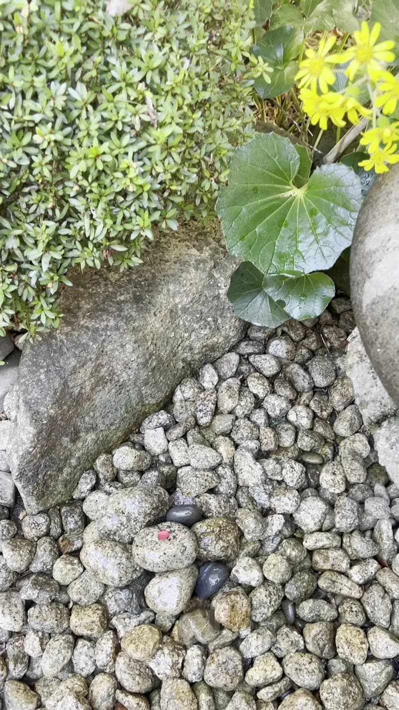 View of Kawagoe City Museum in Kawagoe, Saitama