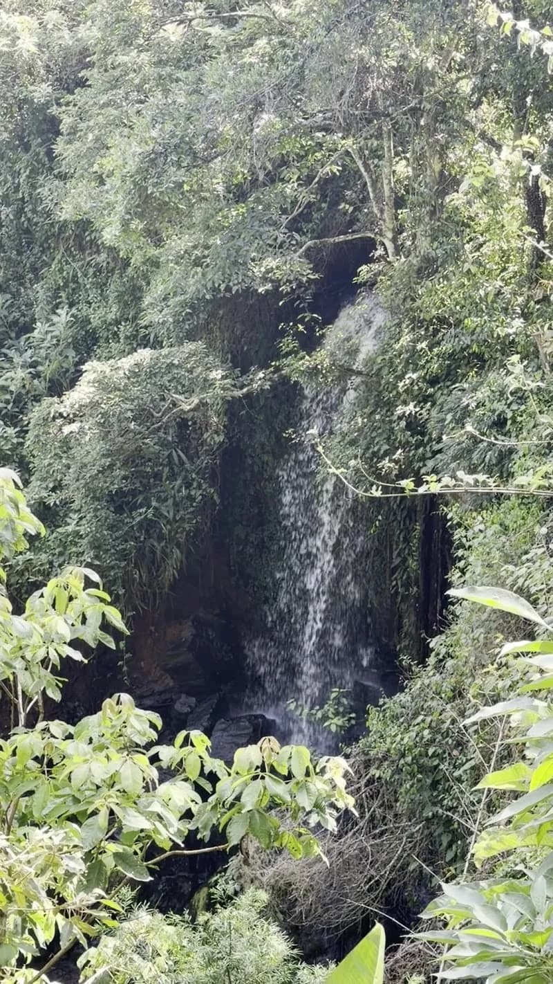 View of Kawamwaki Farm in Ruaka, Nairobi