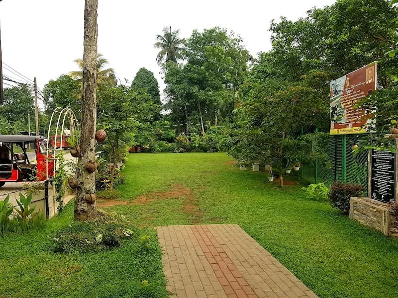 View of Kelani River Adventure Spots in Avissawella, WP