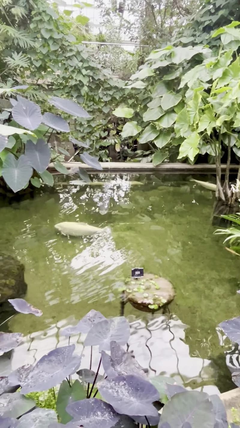 View of Kew Gardens car park in Kew, London