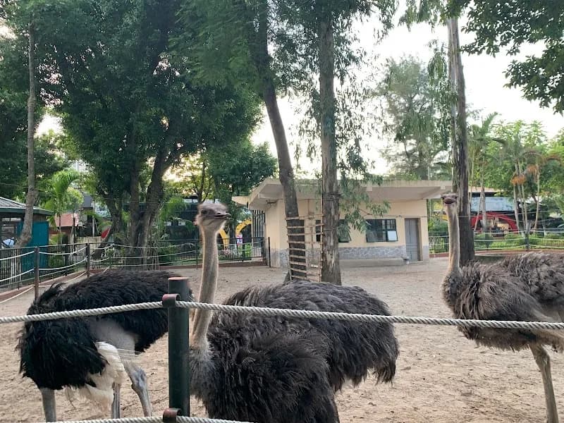 Khu vui chơi Cầu Vồng indoor play in Từ Liêm, HN