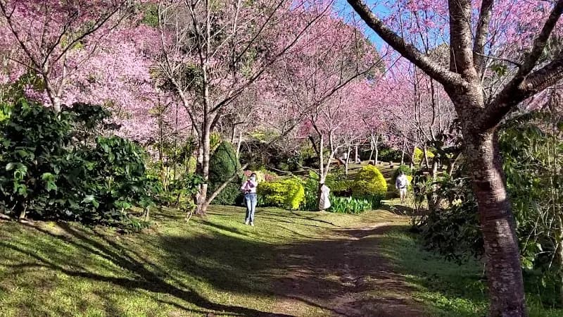 View of Khun Chang Khian in Hang Dong, CM