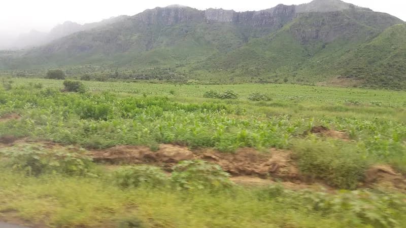 Kigamboni Forest Reserve nature in Dar es Salaam, DS