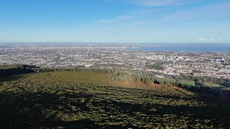 View of Kilmashogue Forest in Stepaside, D
