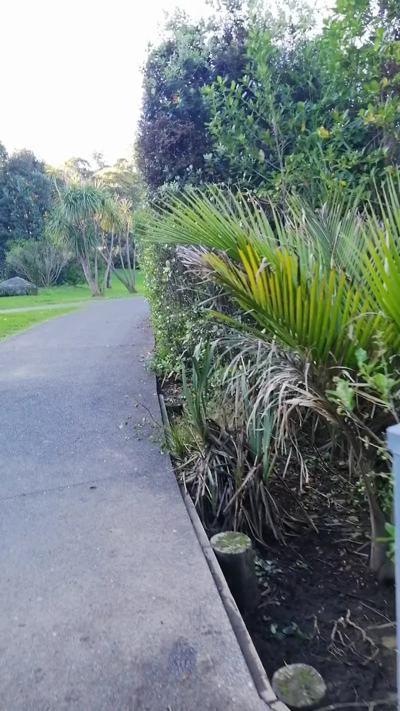 View of Kitchener Street Playground in Newmarket, AKL