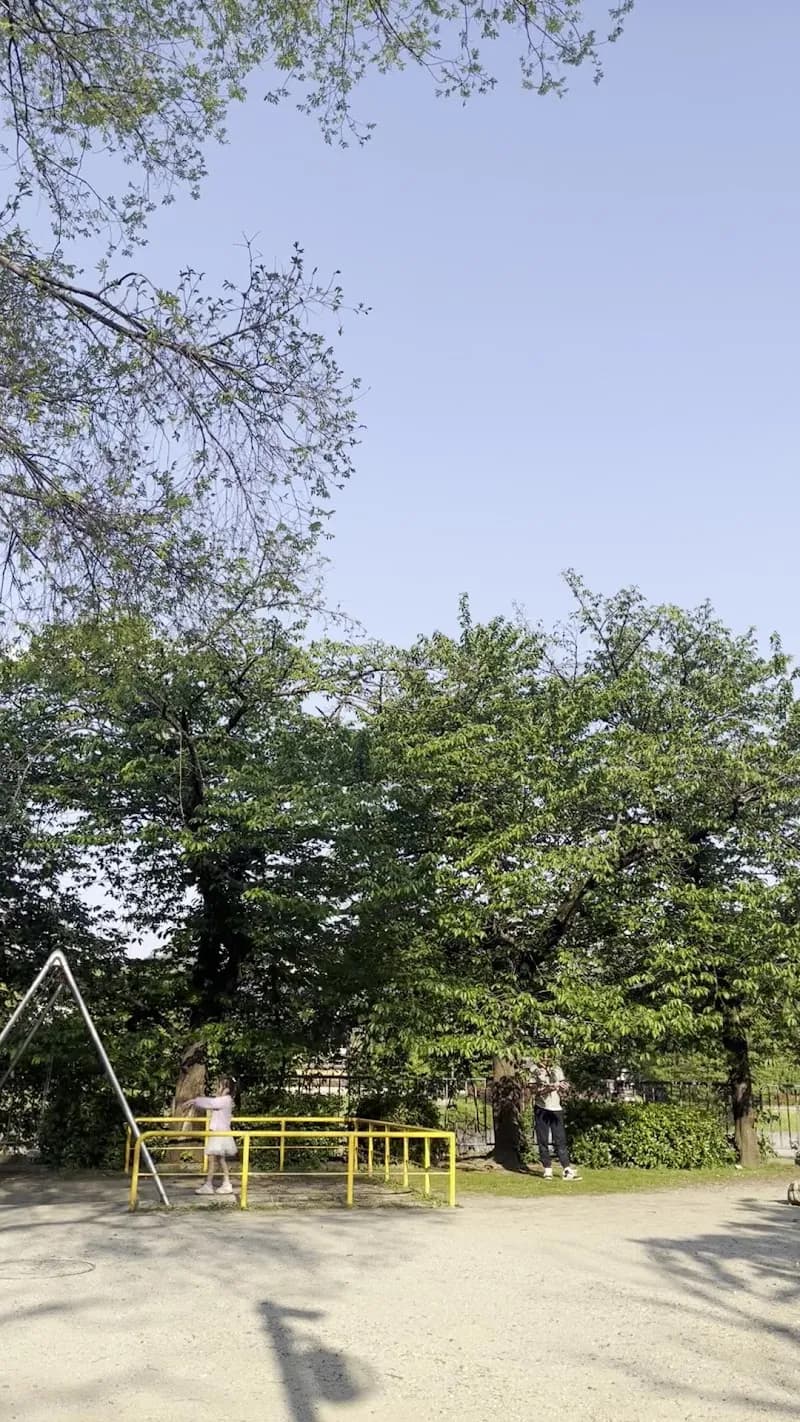 View of Kiyomizu Park in Higashiyama, KYO