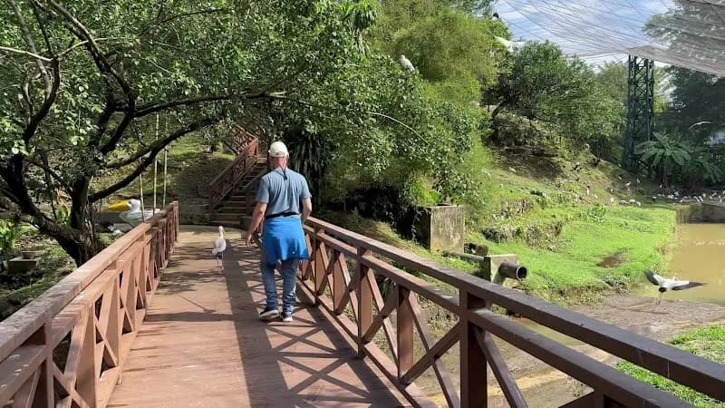View of KL Bird Park in Kuala Lumpur, KL