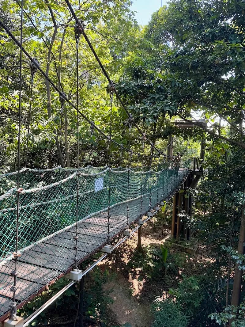 KL Forest Eco Park Canopy Walk park in Kepong, KL